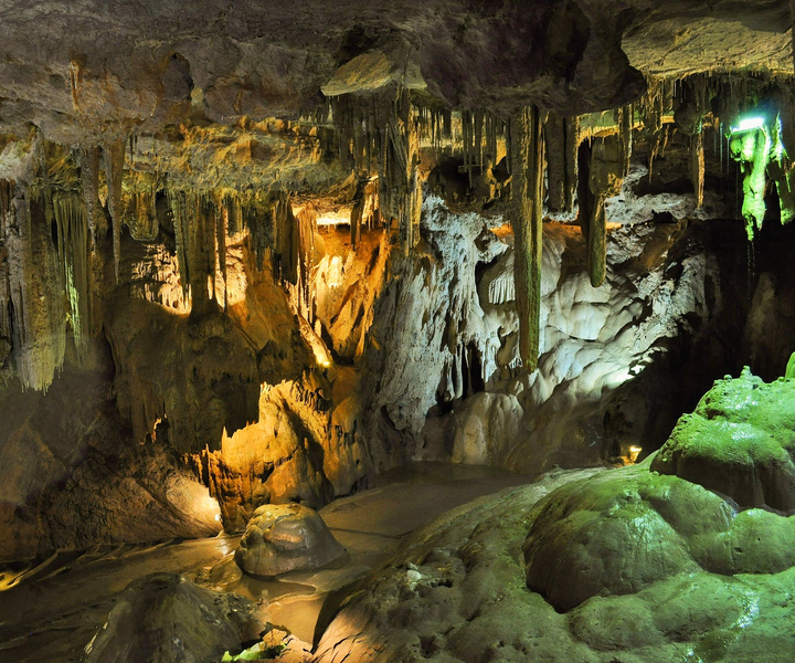 Horseback Ride and Swim with Green Grotto Caves Tour