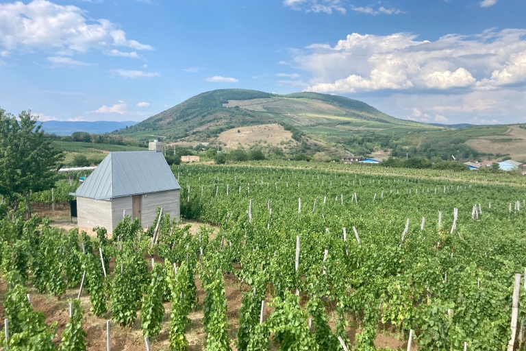 Eger Landschaft, Kultur und Wein: Ganztagestour