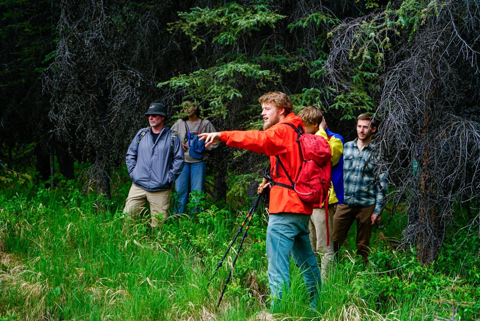 Denali Recorrido Naturalista A Pie Por El Parque Nacional De Denali