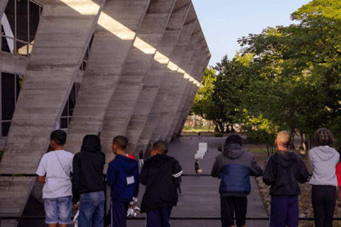 Rio de Janeiro: Museum of Modern Art Guided Tour & Transfer