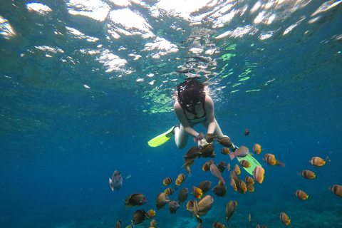 Nusa Penida: Snorkling båttur med Manta Rays