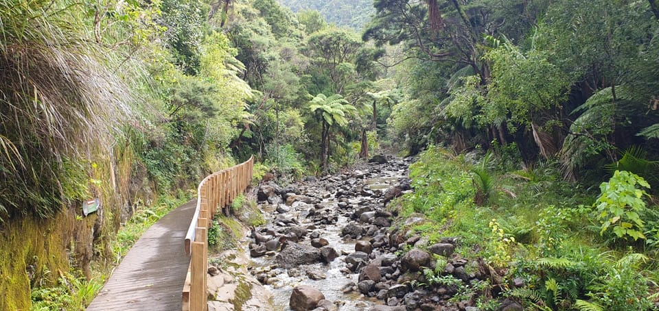 Waitakere Ranges Cliffs Waitakere Ranges Wilderness Experience Tour from Auckland | GetYourGuide
