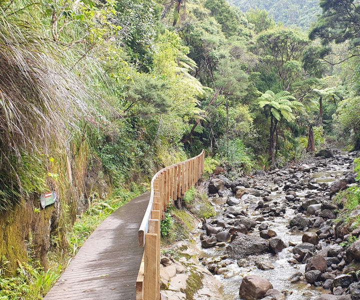 Waitakere Ranges Wilderness Experience Tour from Auckland