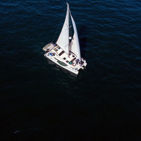 Visit Marina Del Rey : 4 hour Private Catamaran Sailboat Charter in Calabasas, CA