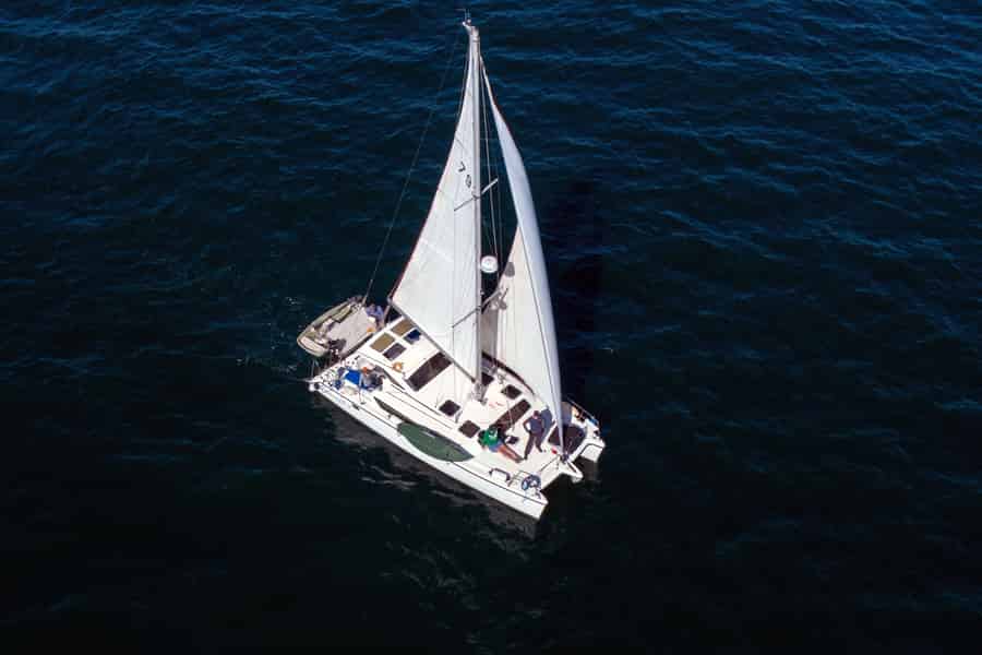 Marina Del Rey: 4 Stunden privater Katamaran Segelboot Charter. Foto: GetYourGuide