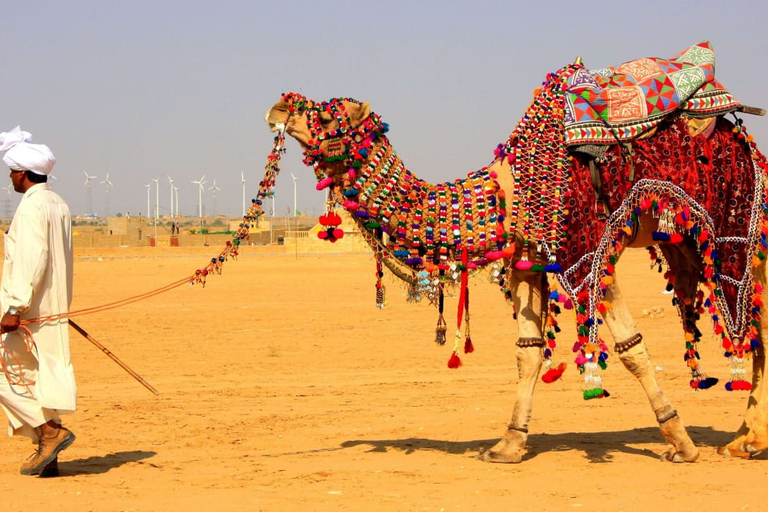 11 dias de passeio de carro por Delhi, Rajasthan e Ranthambore SafariOpção com carro, guia de turismo, safári de tigre e hotel 3 estrelas