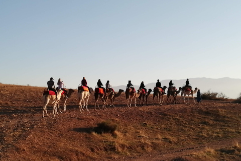 Cena-espectáculo mágica y paseo en camello por el desierto de Agafay