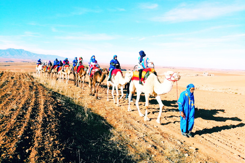 Magical dinner show and camel ride in Agafay desert