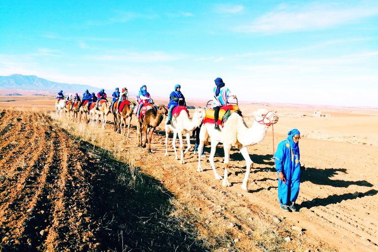 Cena-espectáculo mágica y paseo en camello por el desierto de Agafay