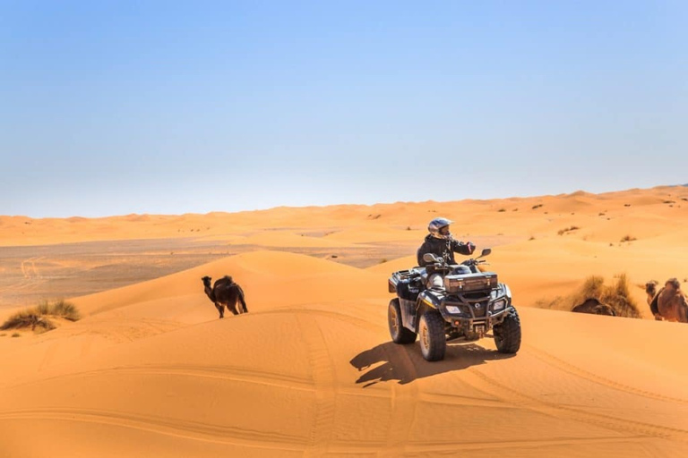 From Marrakech: Agafay Desert Dinner with Quad or Camel Ride From Marrakech: Agafay Desert Dinner w/ Camel Ride