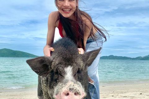 Koh Samui : Île aux cochons en hors-bord avec snorkeling