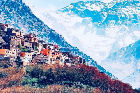 Excursion d'une journée dans les montagnes de l'Atlas, les chutes d'eau des trois vallées et le désert