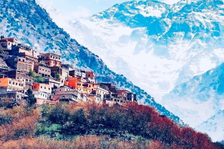 Excursion d'une journée dans les montagnes de l'Atlas, les chutes d'eau des trois vallées et le désert