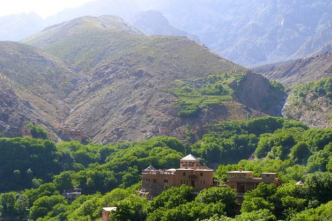 Gita di un giorno alla montagna dell&#039;Atlante e alle cascate delle tre valli e al deserto