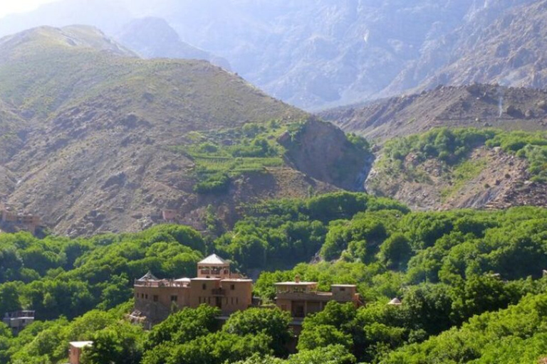 Excursión de un día a la Montaña del Atlas y a las Cascadas y Desierto de los Tres Valles