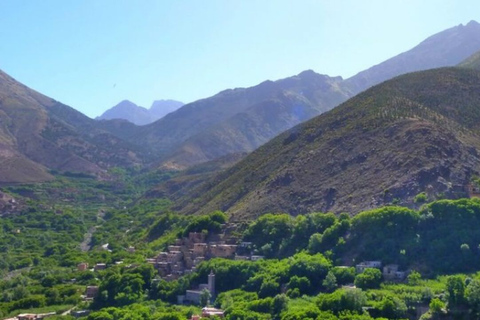 Gita di un giorno alla montagna dell&#039;Atlante e alle cascate delle tre valli e al deserto