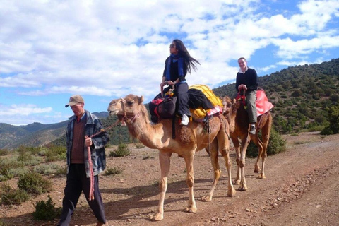 Gita di un giorno alla montagna dell&#039;Atlante e alle cascate delle tre valli e al deserto