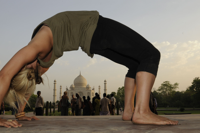 Yoga Tour To India Tour without Hotel Accommodation