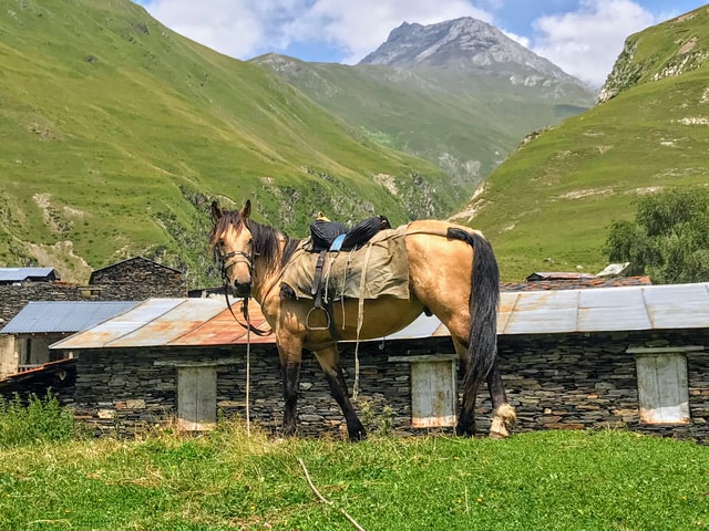 Tusheti Sensatie: Berg Ontsnappen 3 daagse tour