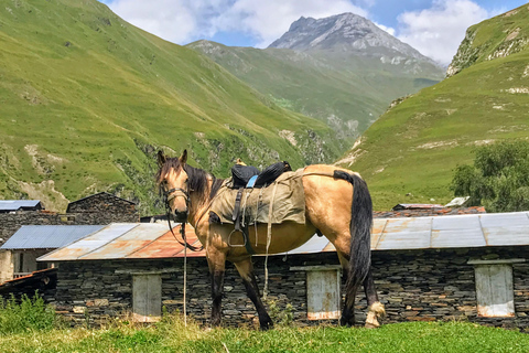 Tusheti Thrill: Zeitlich begrenzte Mountain Escape 3-Tages-Tour