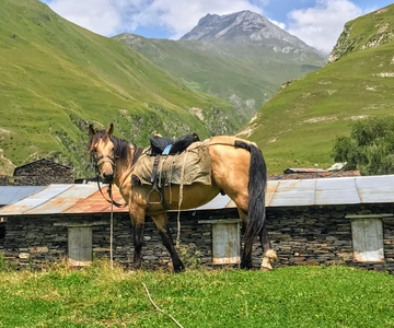 Brivido a Tusheti: Tour di 3 giorni con fuga in montagna a tempo limitato