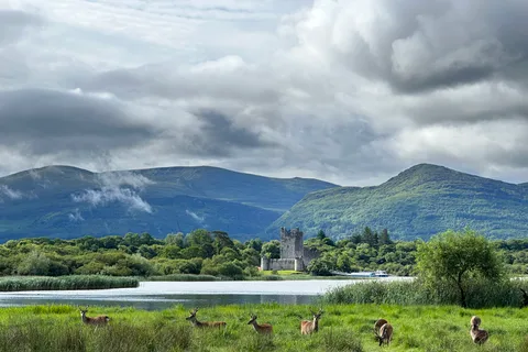 Killarney National Park & Ross Castle Jaunting Car Tour