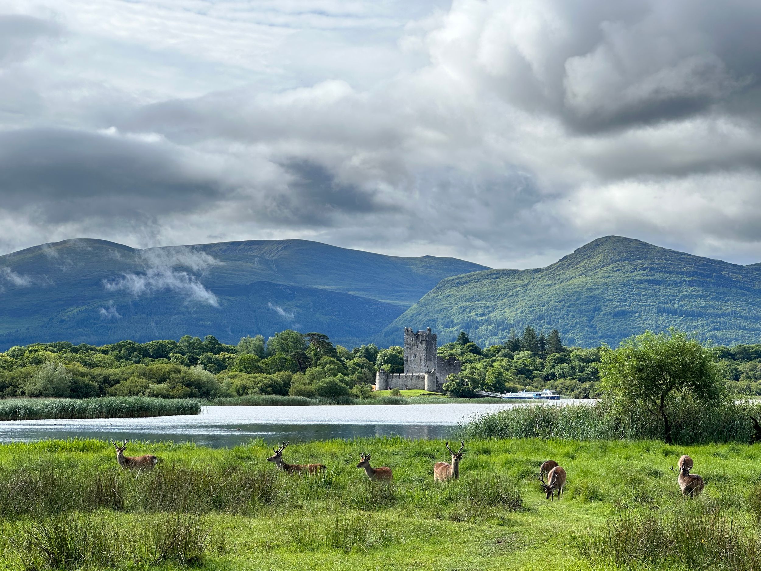 Killarney Nationalpark mit der Pferdekutsche