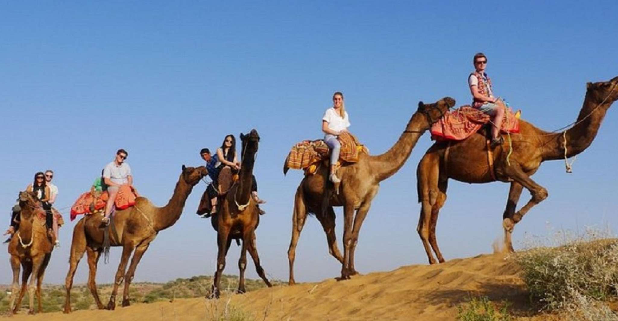 4 - Days Jaisalmer And Jodhpur Combo Tour - Housity