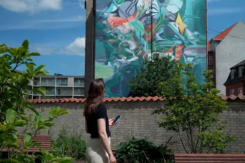 Aalborg Street Art: Entdecke 79 Wandgemälde