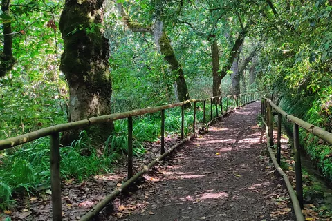 Caldeirão Verde: Queimadas PR9 Traslado y Senderismo Autoguiado