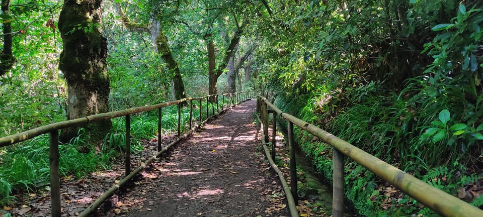 Caldeirão Verde Levada: Roundtrip Transfer & Hike | GetYourGuide