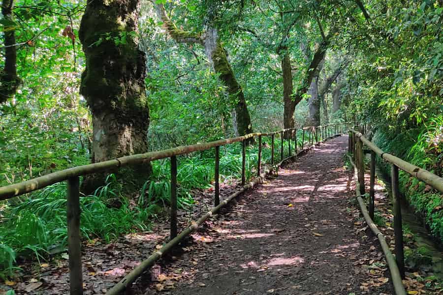 Caldeirão Verde: Queimadas PR9 Transfer und selbstgeführte Wanderung. Foto: GetYourGuide