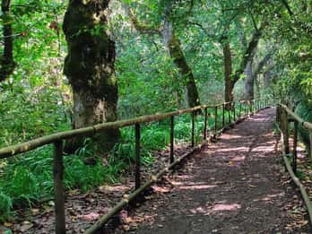 Caldeirão Verde: Trasferimento a Queimadas PR9 ed escursione autoguidata