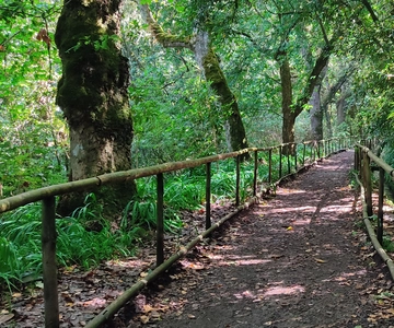 Caldeirão Verde: Queimadas PR9 Transfer and Self-Guided Hike