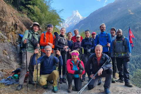 Katmandou : 8N8 jours de randonnée guidée au camp de base de l'AnnapurnaKatmandou : 8N8-Day Annapurna Base Camp Trek Service Package