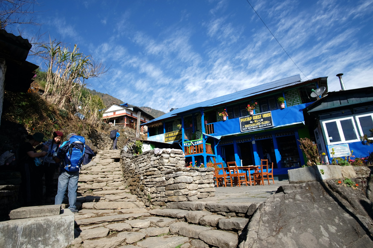 Katmandu: 8-dniowy trekking z przewodnikiem do obozu Annapurna Base CampKatmandu: 8-8-dniowy pakiet usług Annapurna Base Camp Trek