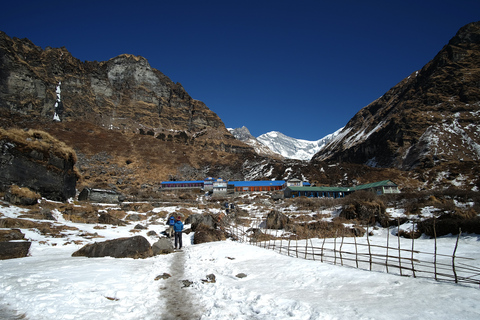 Pokhara : 7 jours de randonnée épique au camp de base de l'Annapurna