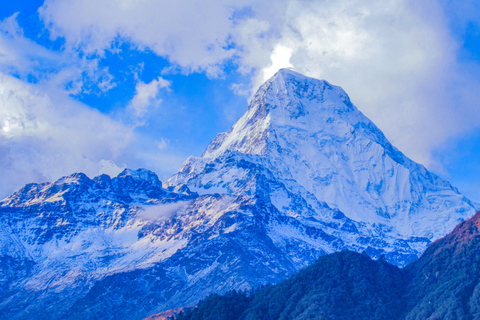 Pokhara: trekking guidato del Campo Base dell&#039;Annapurna di 7 giorniPokhara: pacchetto completo per l&#039;epico trekking di 7 giorni al campo base dell&#039;Annapurna