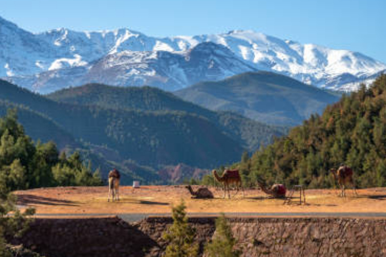 Excursion d'une journée dans la vallée de l'ourika à partir de marrakech avec un groupe