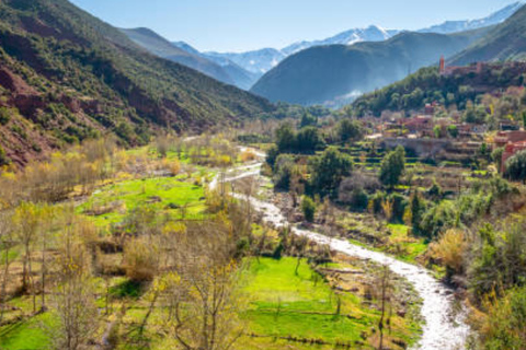 Excursion d'une journée dans la vallée de l'ourika à partir de marrakech avec un groupe