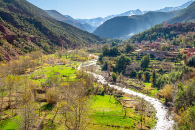 Excursion d'une journée dans la vallée de l'ourika à partir de marrakech avec un groupe