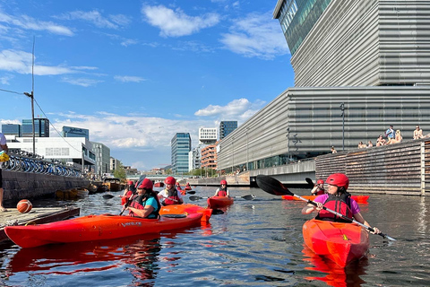 Akerselva River: Urban Paddling Adventure Kayak Tour