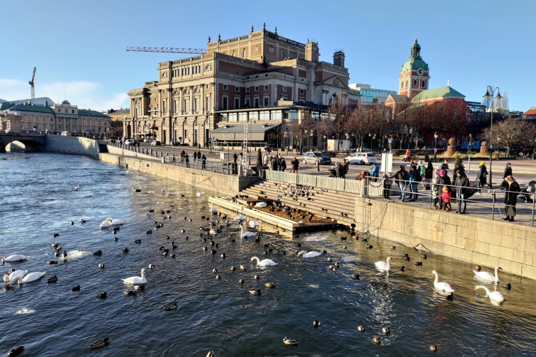 Stockholm: visite de la ville de 3 heures avec guide