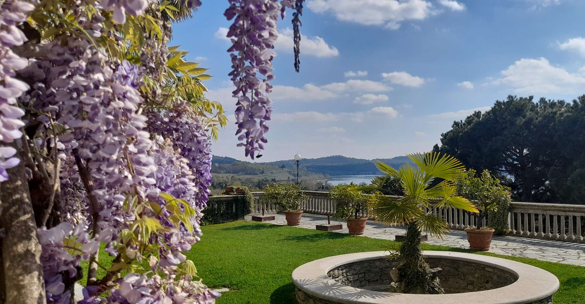 From Turin, food and wine guided tour in Canavese - Hizvo