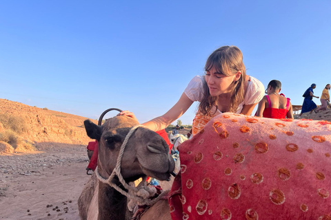 Magical dinner show and camel ride in Agafay desert