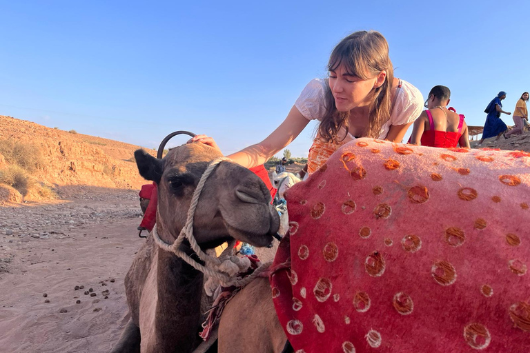 Cena-espectáculo mágica y paseo en camello por el desierto de Agafay