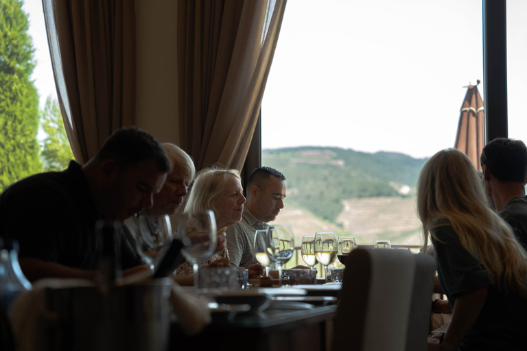 Da Porto: Tour dei vini della Valle del Douro con pranzo di 3 portateTour condiviso