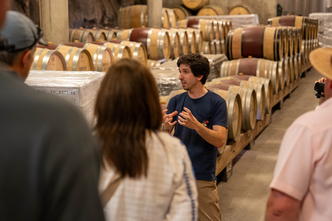 Da Porto: Tour dei vini della Valle del Douro con pranzo di 3 portateTour condiviso