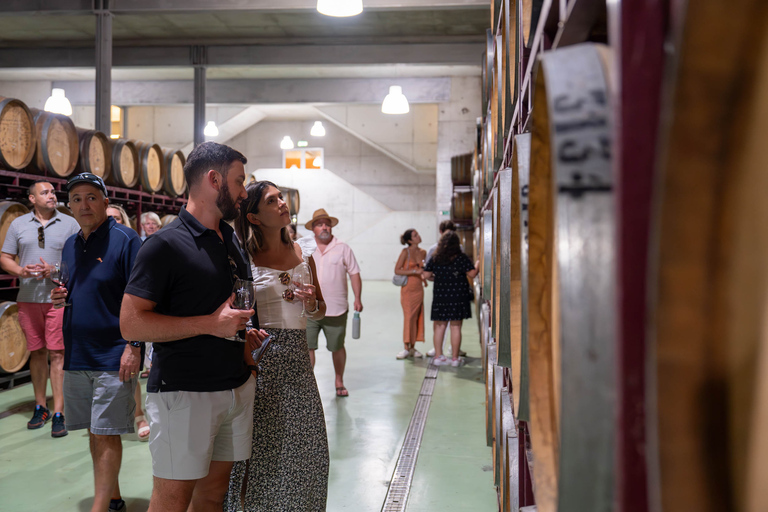 Do Porto: Tour de vinhos no Vale do Douro com almoço de 3 pratosPasseio compartilhado