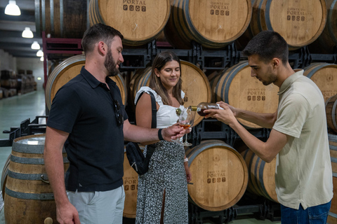 Do Porto: Tour de vinhos no Vale do Douro com almoço de 3 pratosPasseio compartilhado